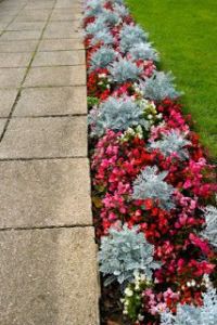 flower walkway